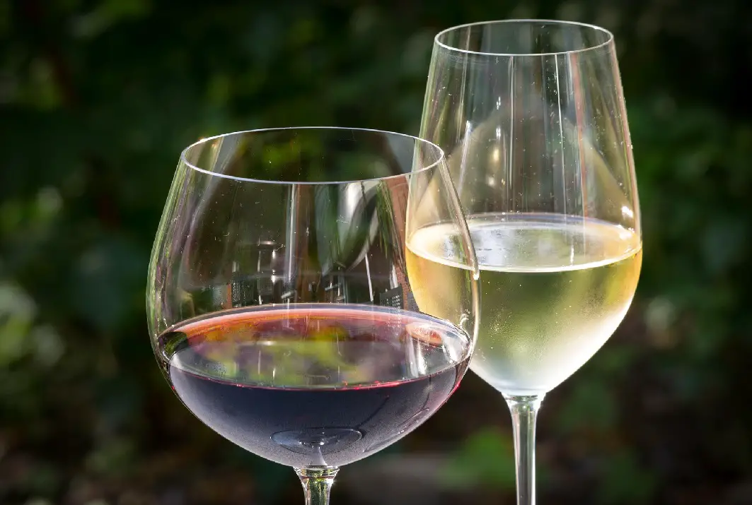 Common types of wine glasses