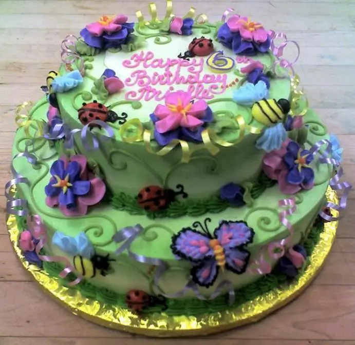 6 year old girl birthday cake