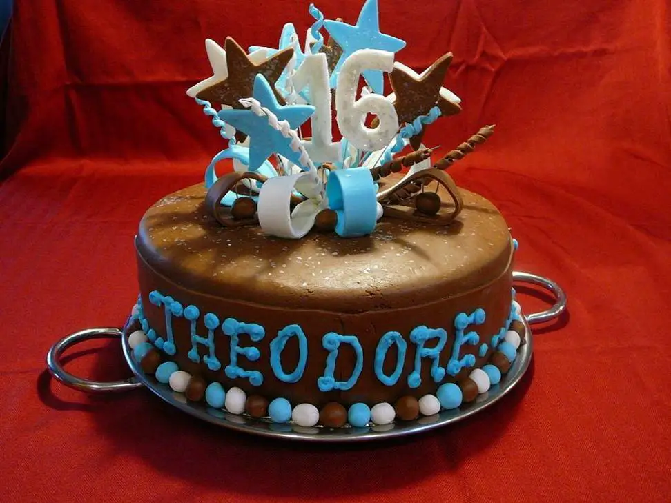 birthday cakes for 16 year olds