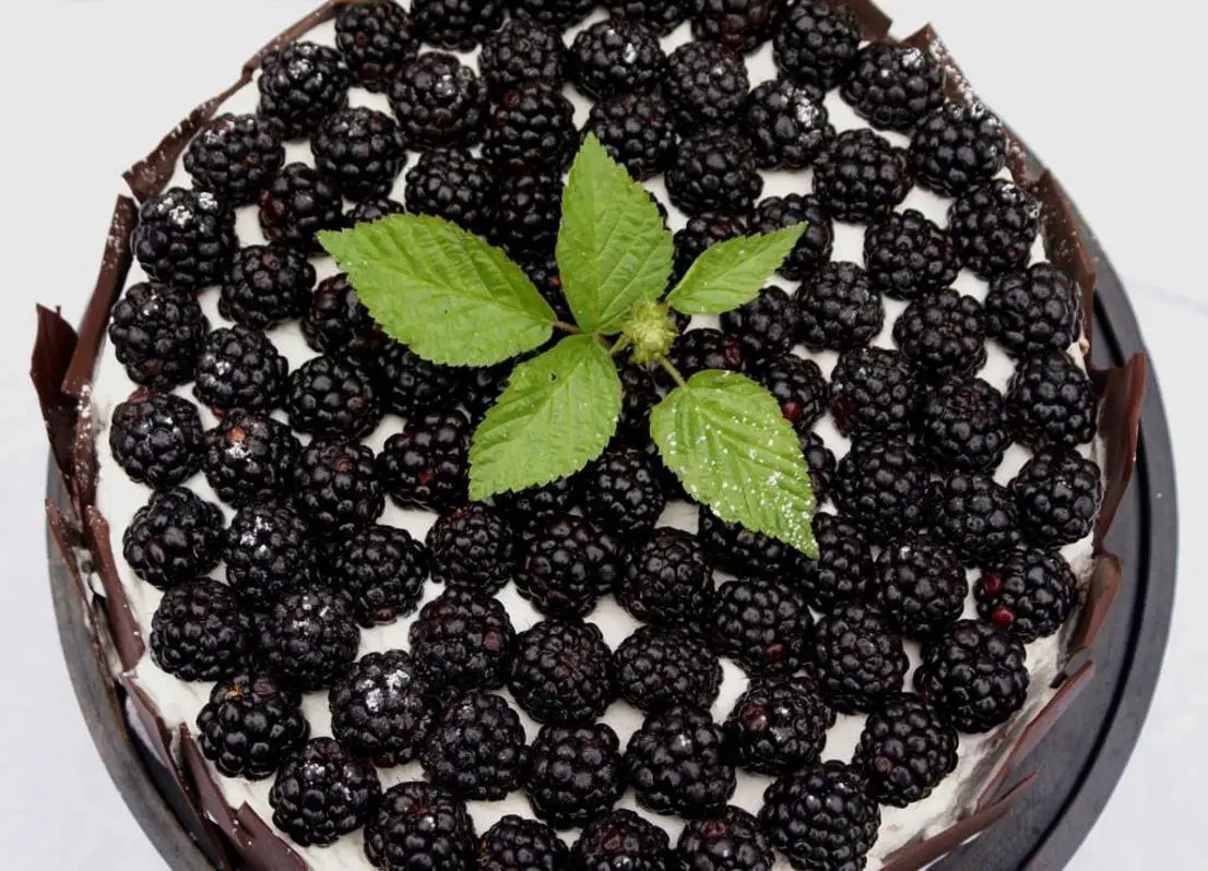 blackberry birthday cake