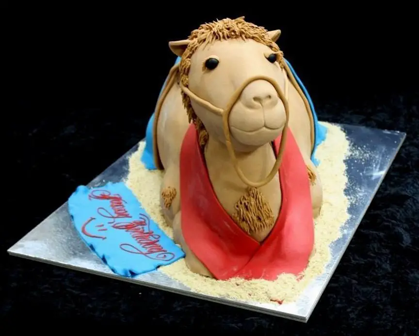 Camel birthday cake