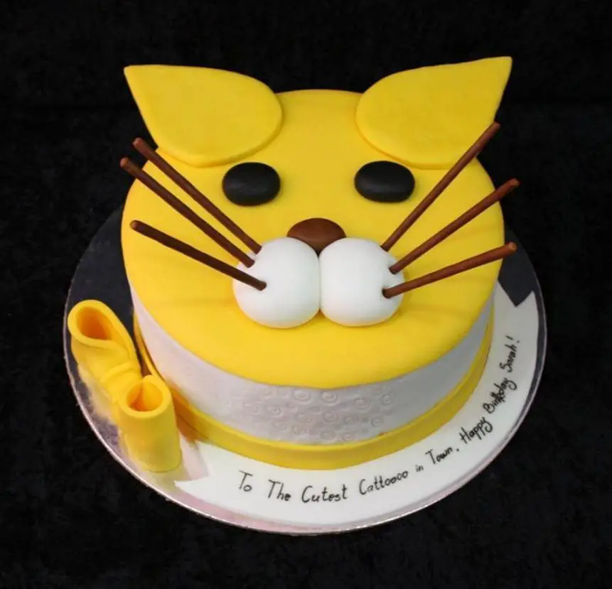 Cat shaped birthday cake