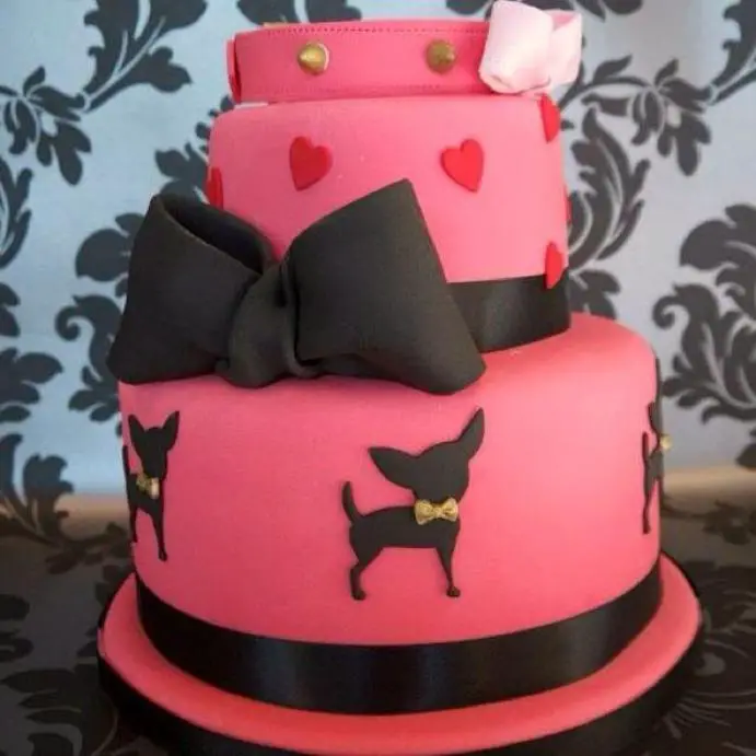 chihuahua birthday cake