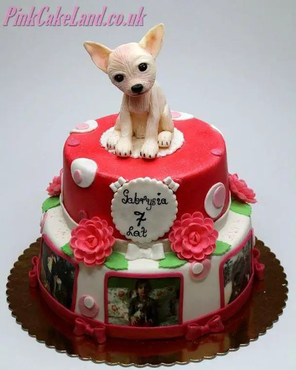chihuahua birthday cake