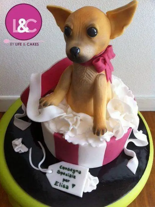 chihuahua birthday cake