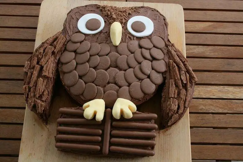 chocolate owl birthday cake