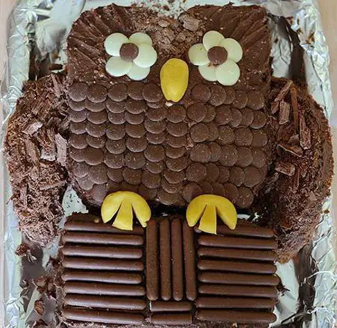 chocolate owl birthday cake