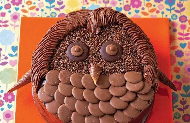 chocolate owl birthday cake