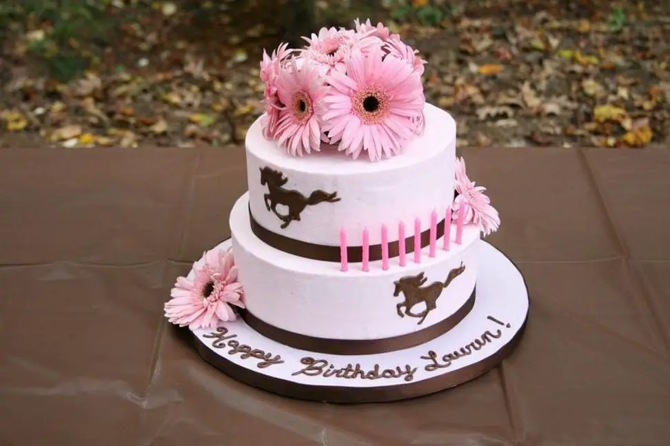country style birthday cakes