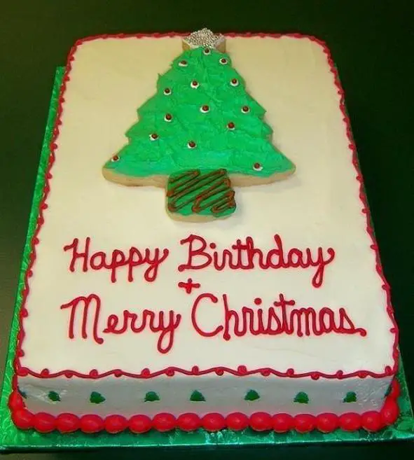 december birthday cakes