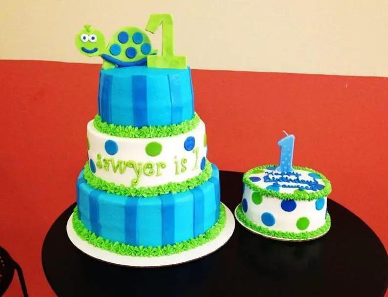 first birthday turtle cake