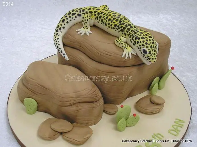 gecko birthday cake