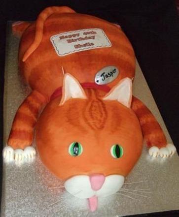 Ginger cat birthday cake