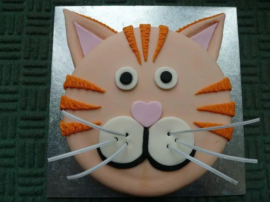 ginger cat birthday cake