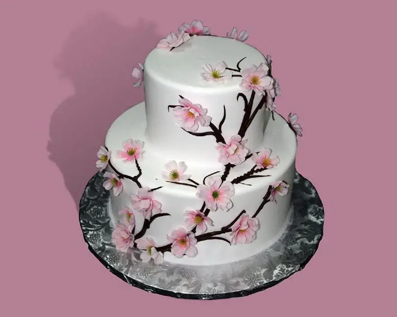grown up birthday cakes