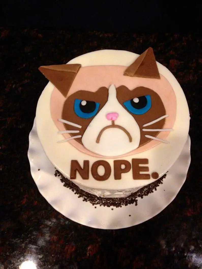grumpy cat birthday cake