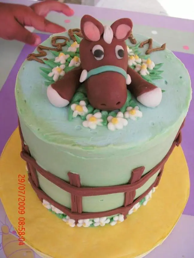horse themed birthday cake