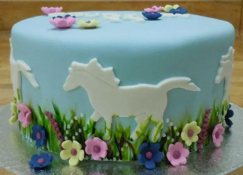 horse themed birthday cakes