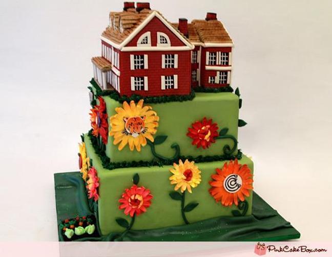 house birthday cakes