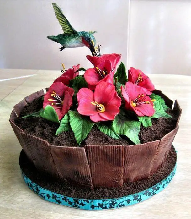 hummingbird birthday cake