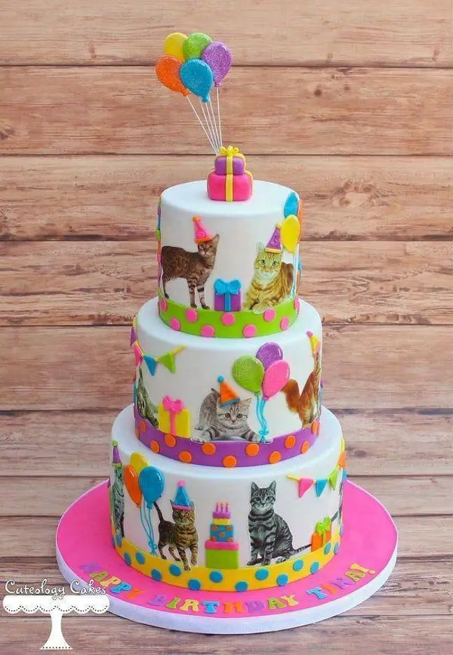 kitten birthday cakes