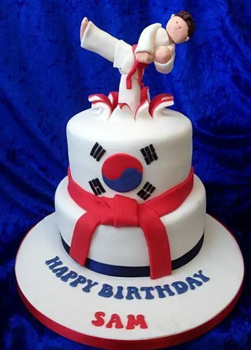 martial arts birthday cake