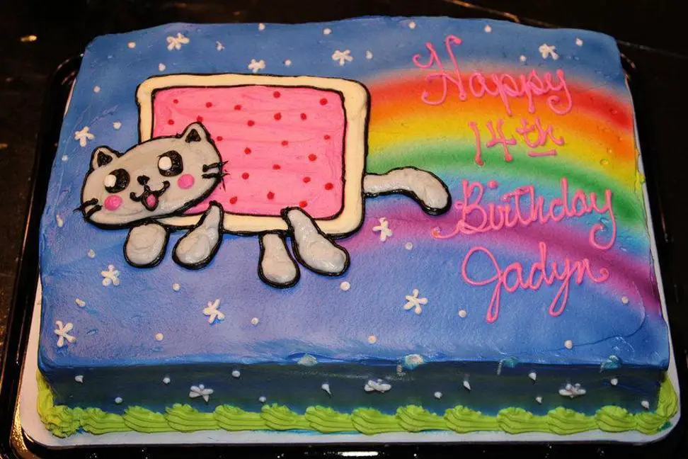 nyan cat birthday cake