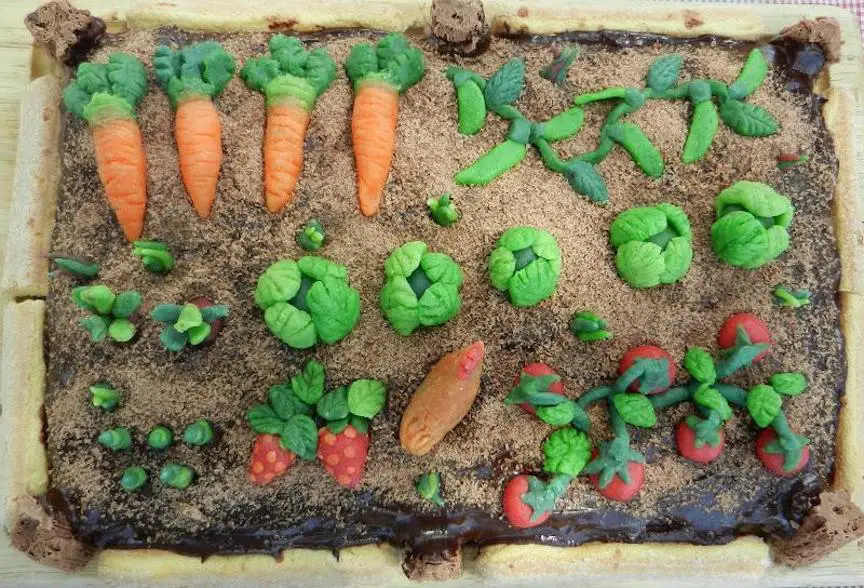 organic birthday cakes