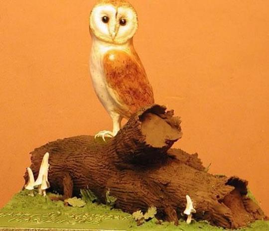 owl shaped birthday cake