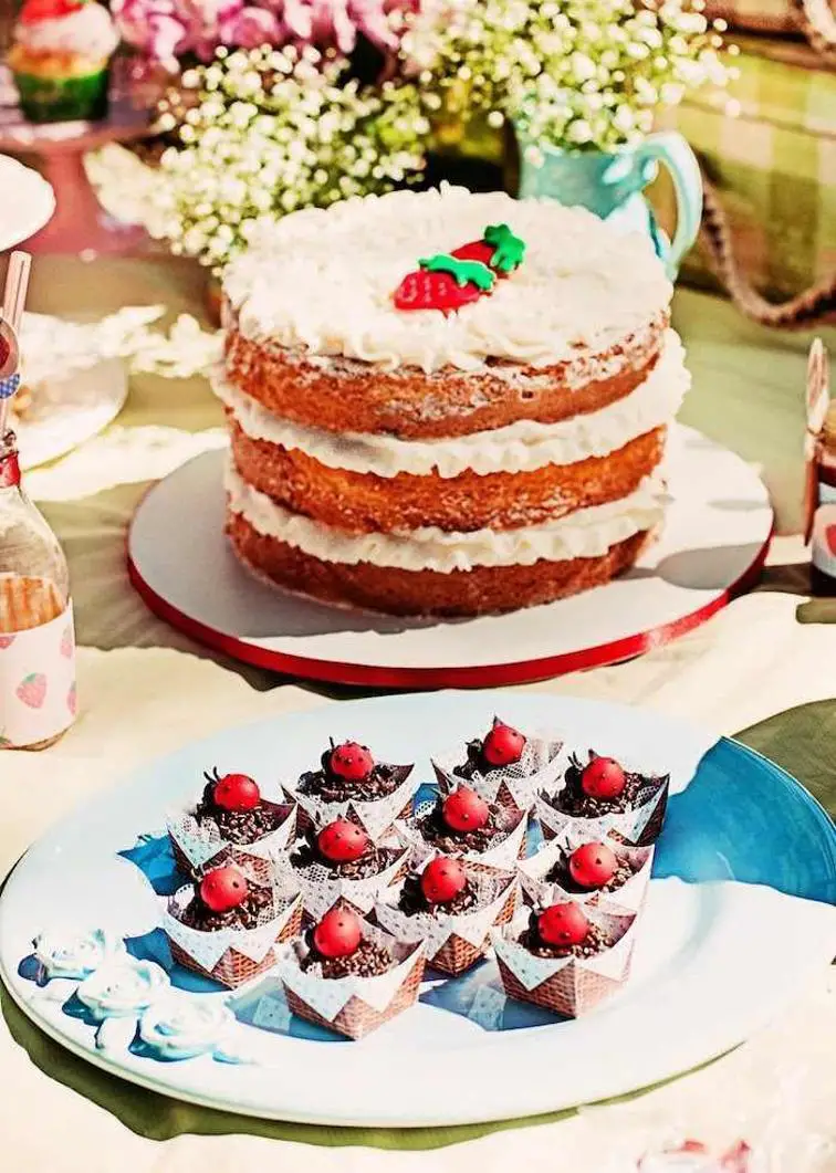 picnic themed birthday cake