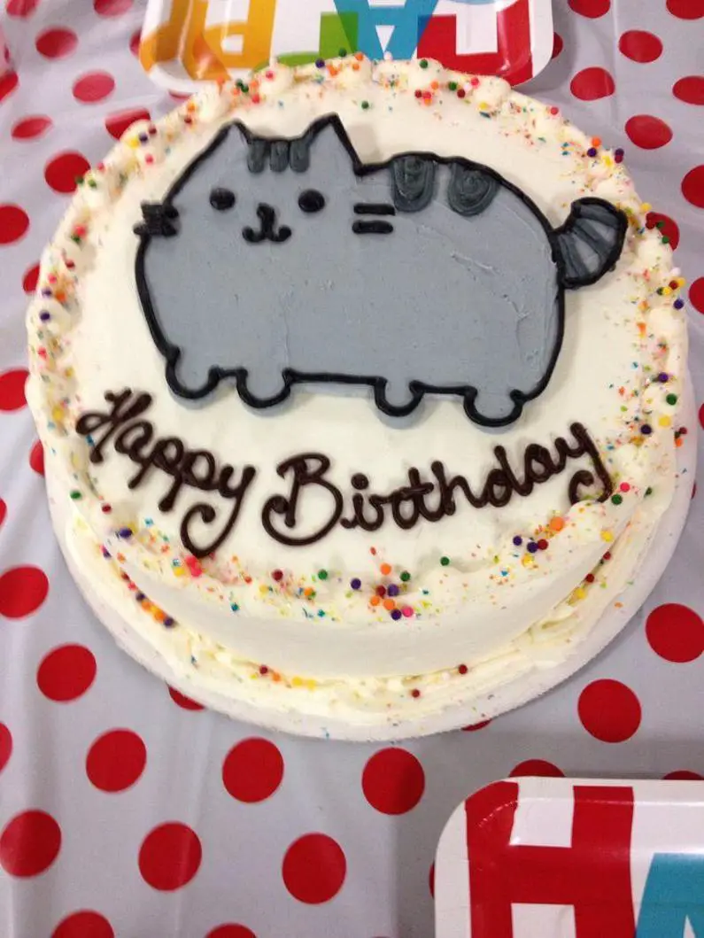pusheen birthday cake