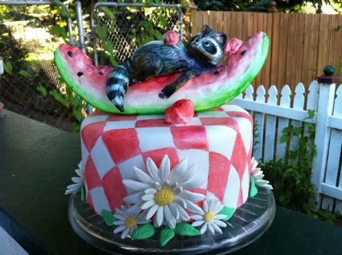 raccoon birthday cake