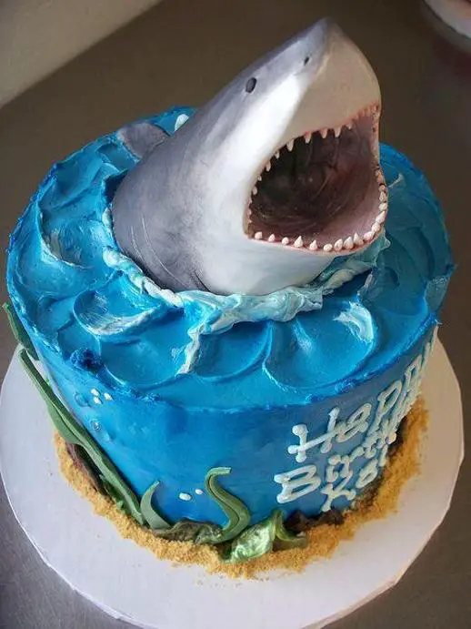 shark themed birthday cakes