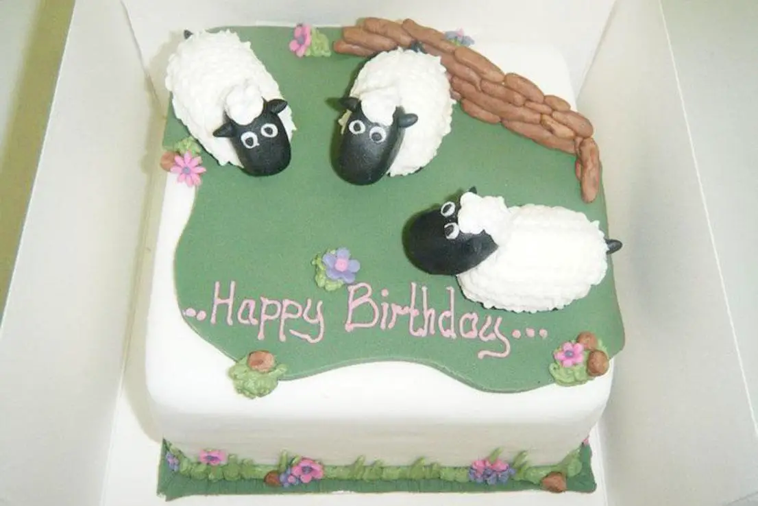 sheep cakes birthday