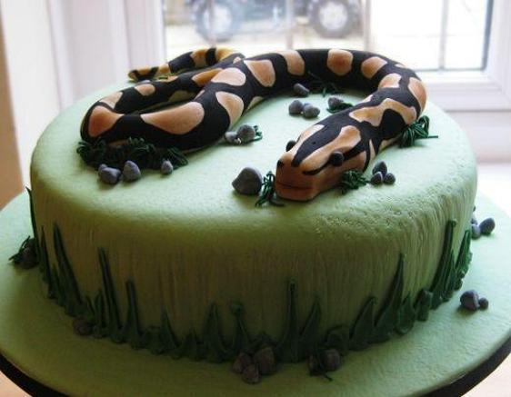 snake cakes birthday