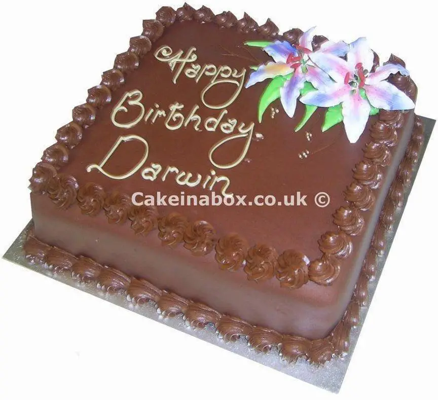 square chocolate birthday cake