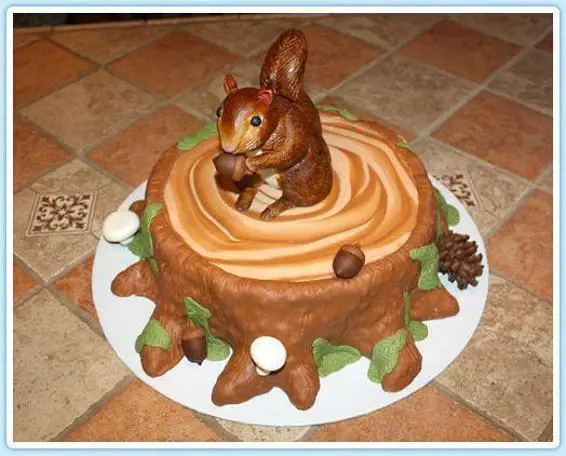 Squirrel birthday cake