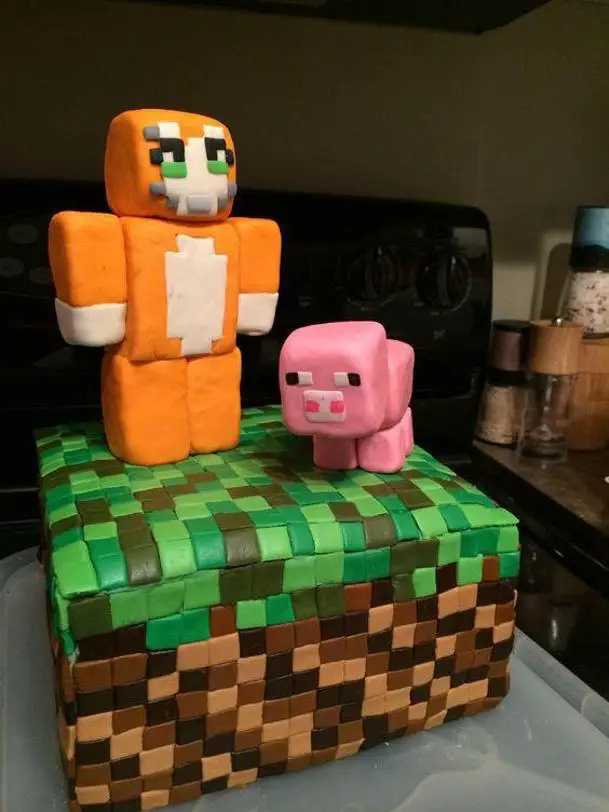 stampylongnose birthday cake