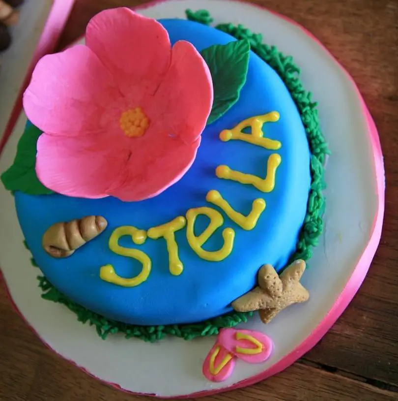 stella birthday cake