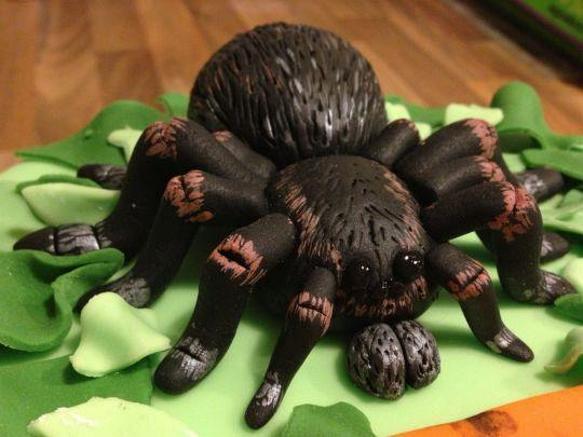 tarantula birthday cake