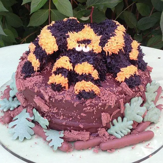 tarantula birthday cake