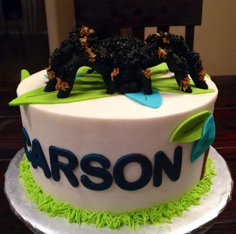 tarantula birthday cake