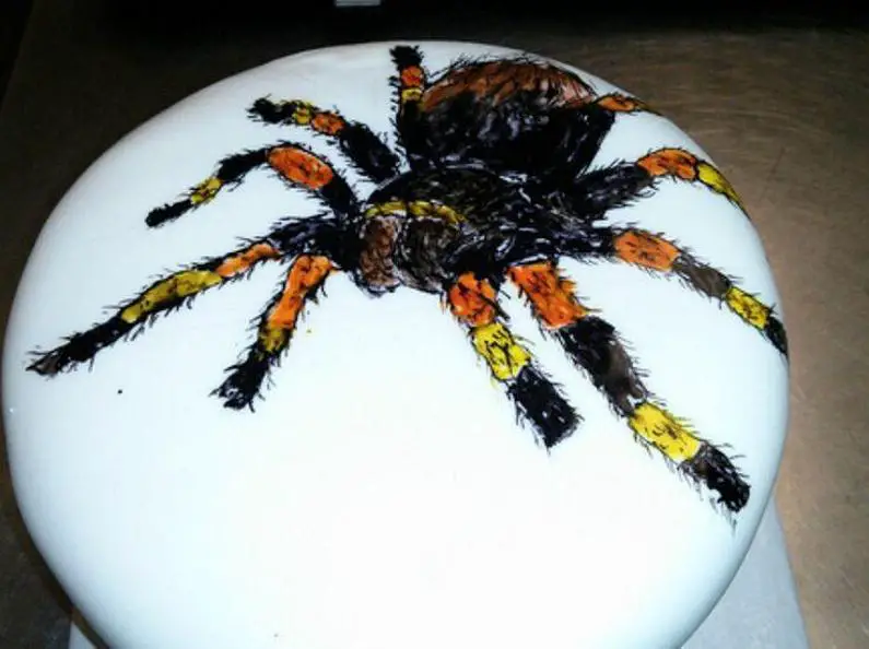 tarantula birthday cake