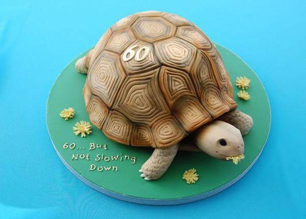 tortoise birthday cake
